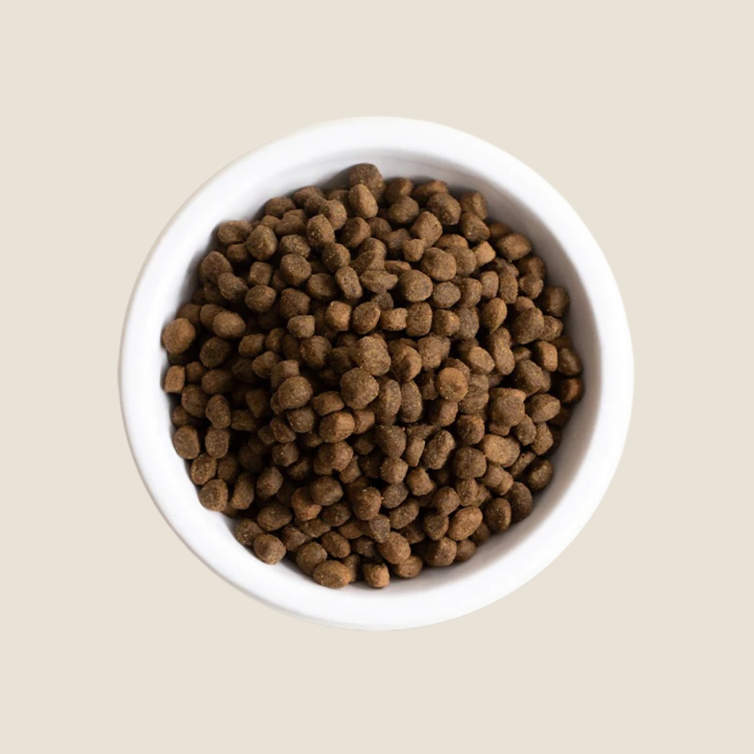 Open Farm - Salmon & Ancient Grains for Puppies