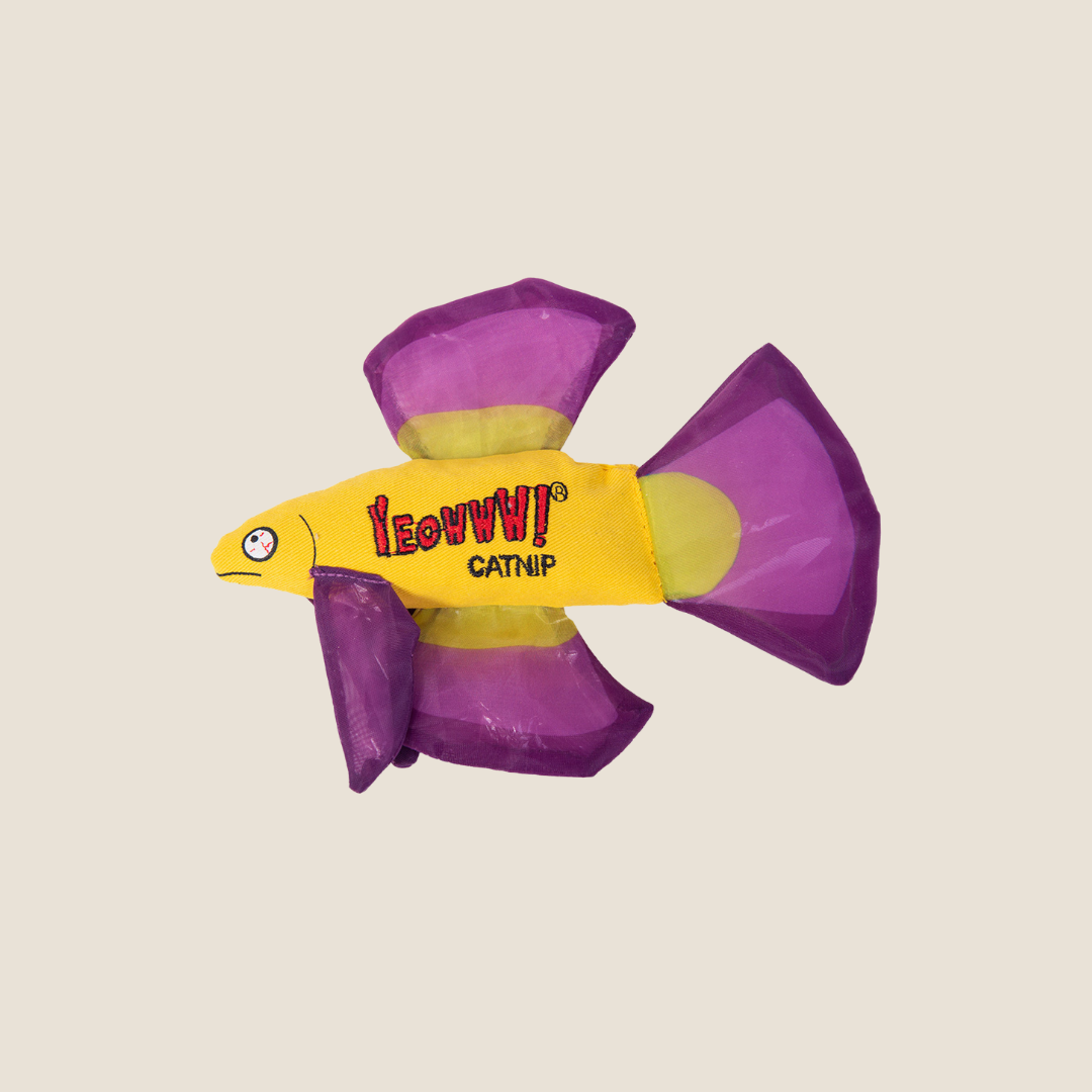 Yeowww! - Betta Fish