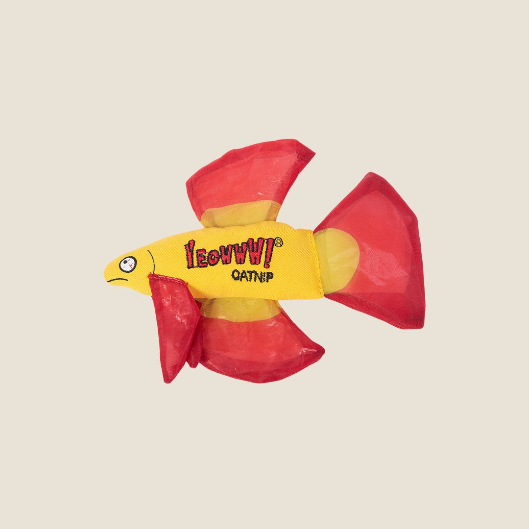 Yeowww! - Betta Fish