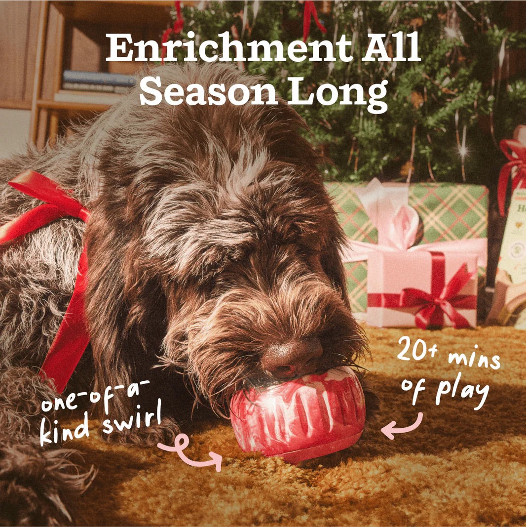 Woof - Candy Cane Red Pupsicle