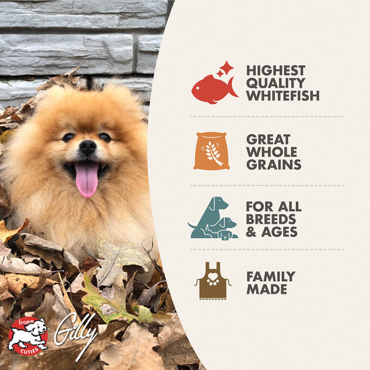 Dog food packaging with a dog and features listed on a white background