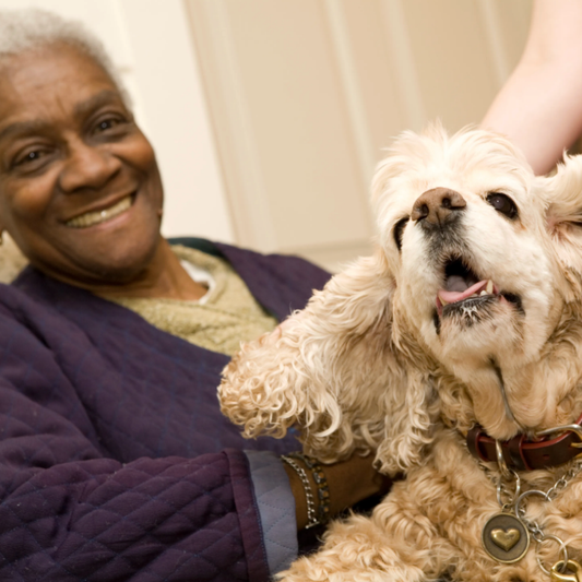 26.2 Miles for Friendship Works