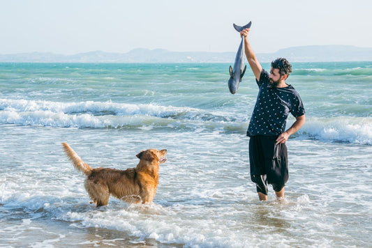 What Are the Benefits of Fish for Dogs?