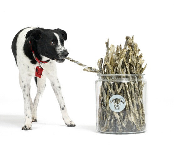 Dehydrated & Jerky Treats