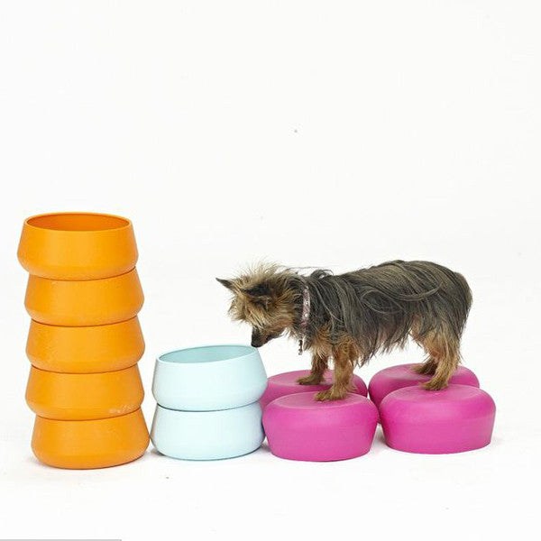 Polkadog Gear