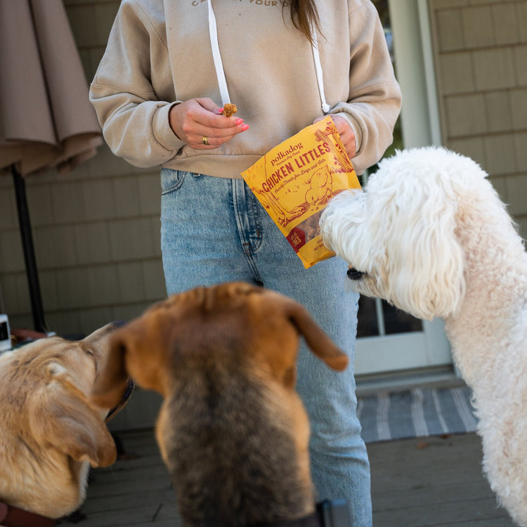 Polkadog Treats