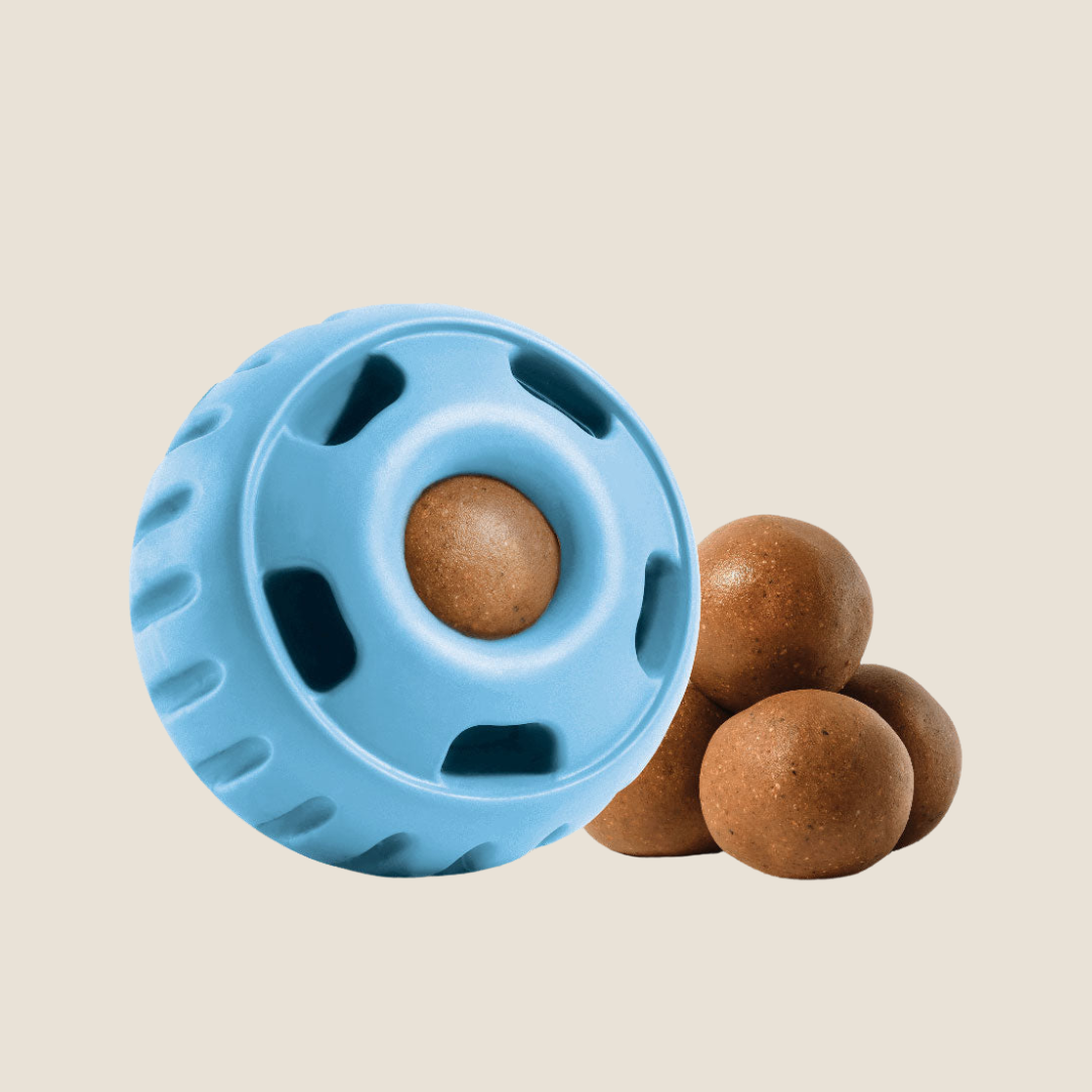 Blue Woof Pupsicle interactive dog toy
