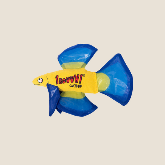 Yeowww! - Betta Fish