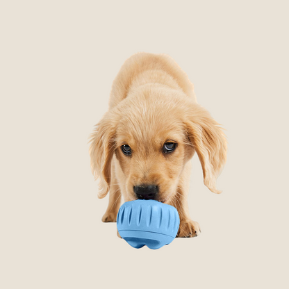Blue Woof Pupsicle interactive dog toy, alternate view
