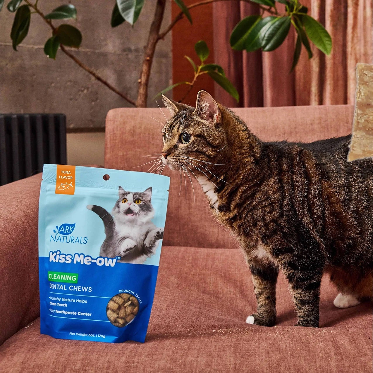 Ark Naturals - Kiss Me-ow Strengthening Tuna Dental Treats