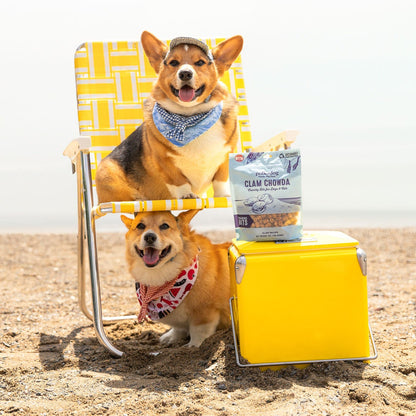 Two corgis on the beach with Polkadog treats