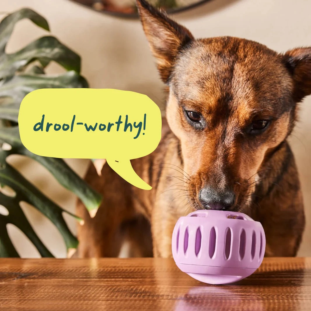 Lavender Woof Pupsicle interactive dog toy, alternate view