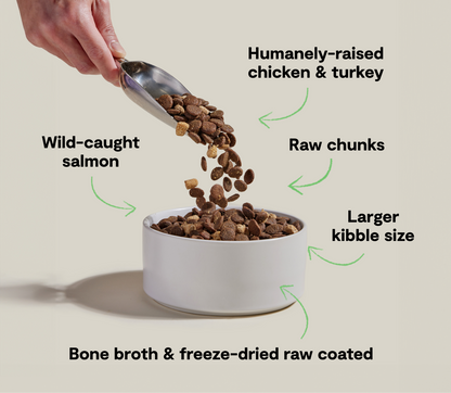 Dog food being poured into a bowl with text describing ingredients