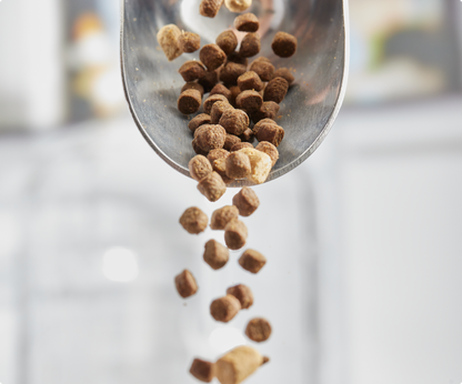 Spoonful of small brown pellets falling onto a light surface