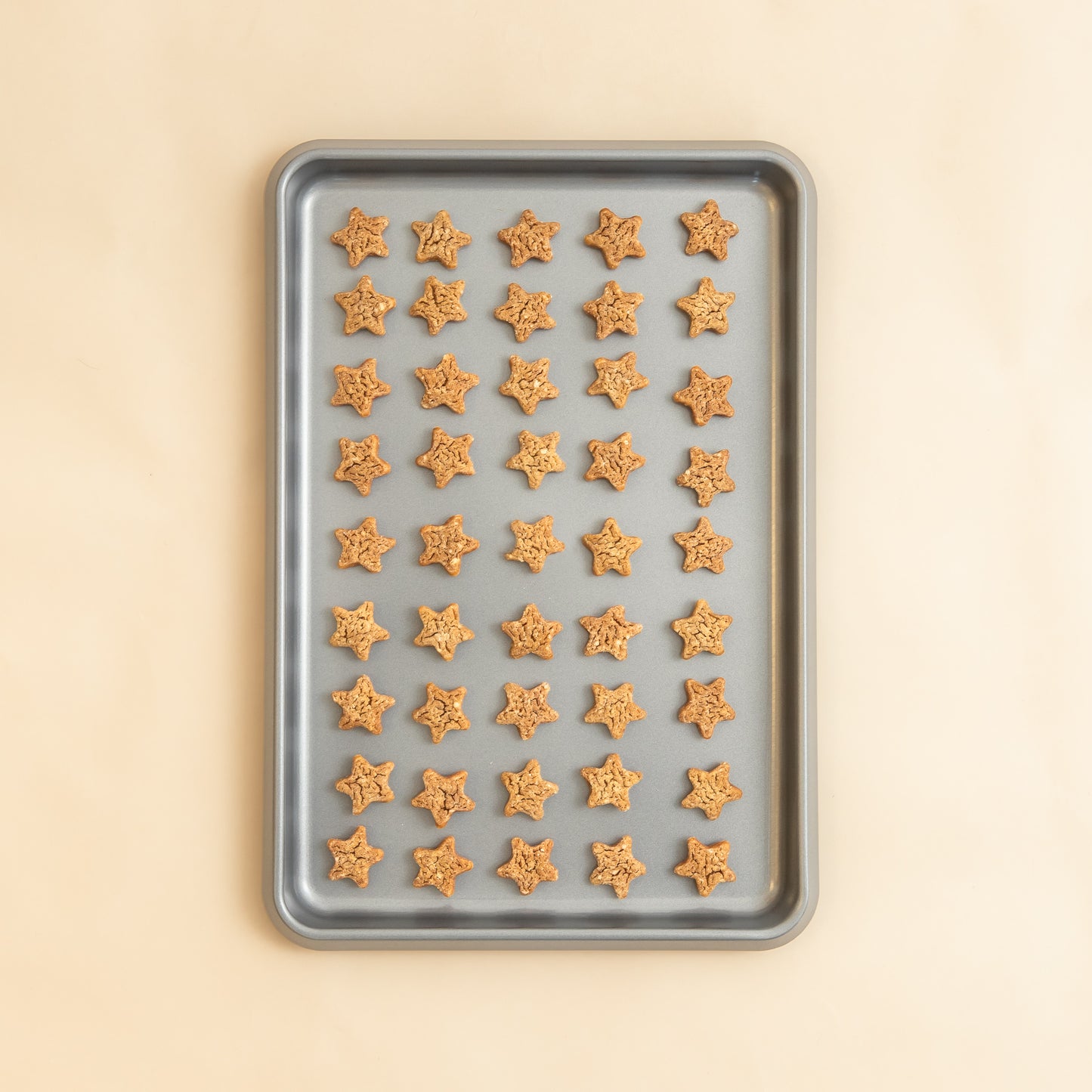 Polkadog Pollock Stars