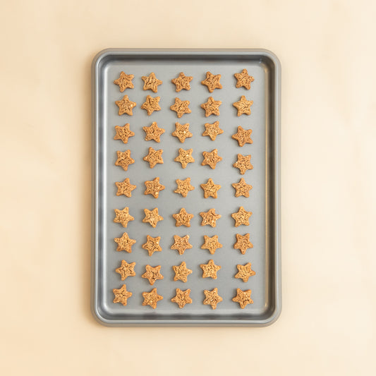 Polkadog Pollock Stars