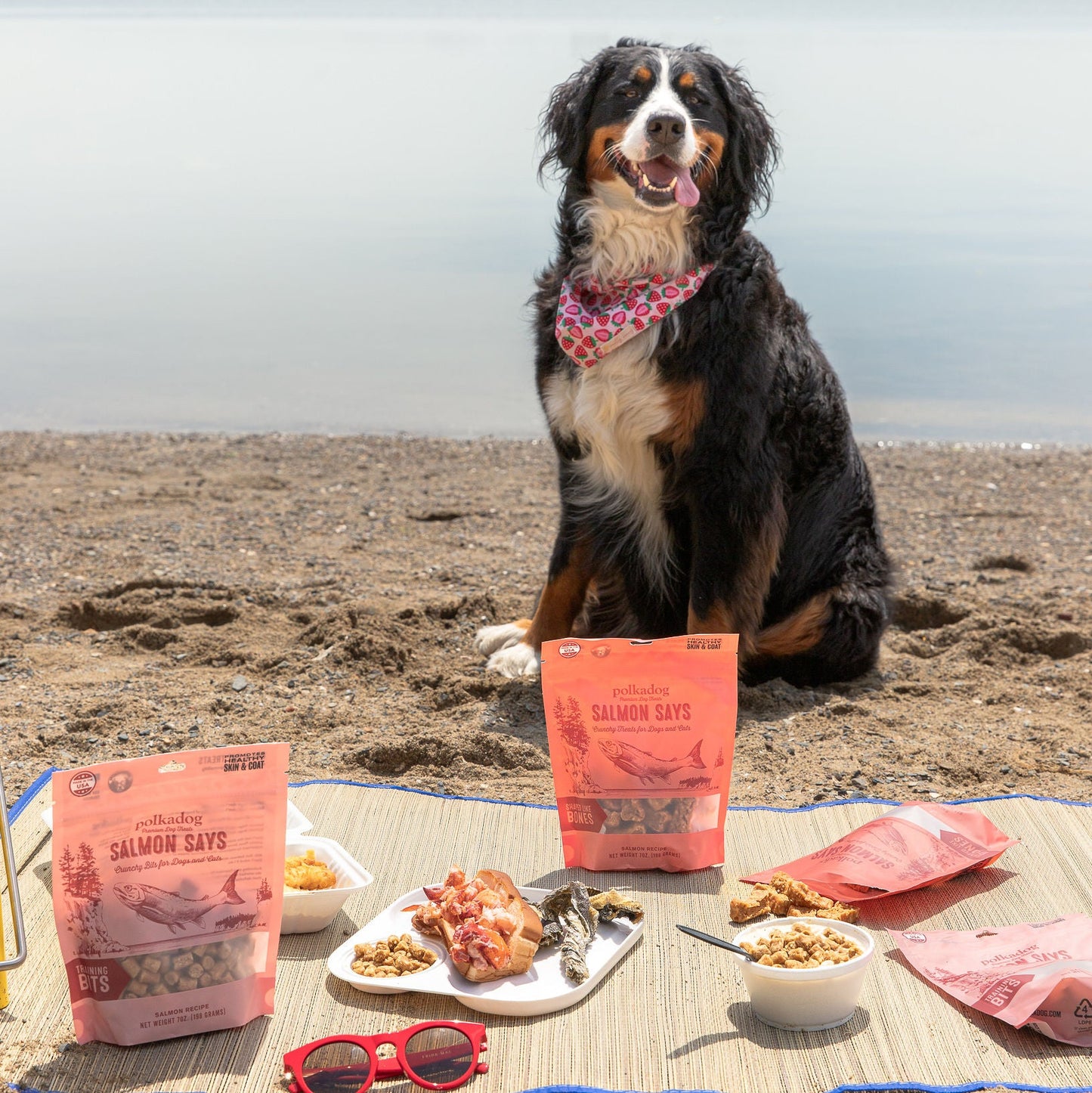Four pouches of Polkadog salmon dog treats