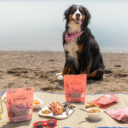 Four pouches of Polkadog salmon dog treats