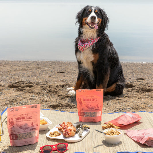 Four pouches of Polkadog salmon dog treats