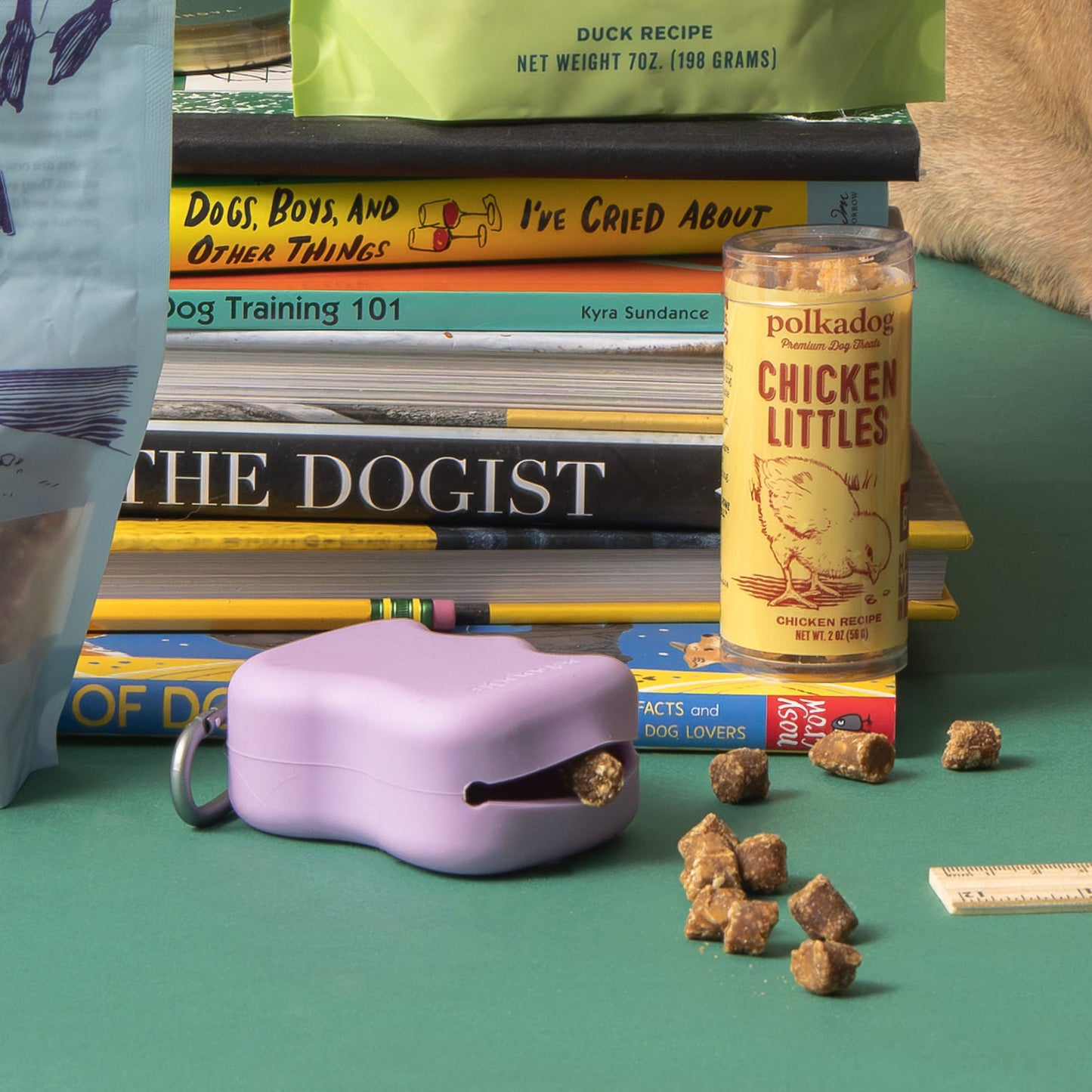 Springland Treat Dispenser