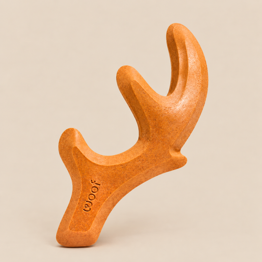 Woof- Pumpkin Spice Antler