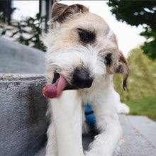 Load image into Gallery viewer, Peanut Butter Filled Bone
