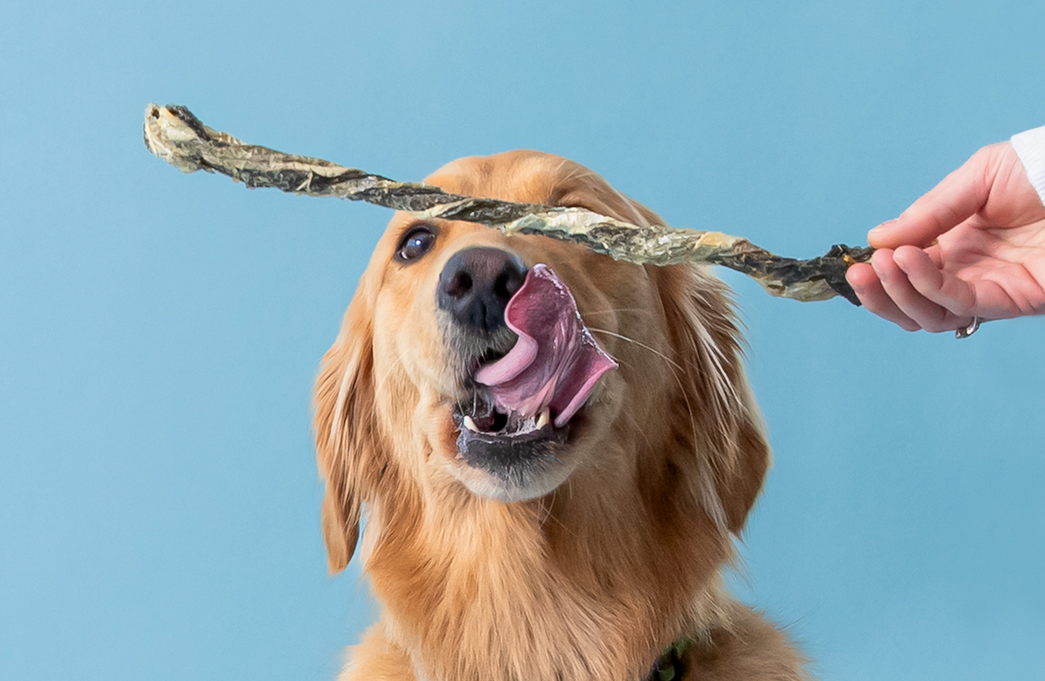 Healthy, Sustainable, Droolworthy.