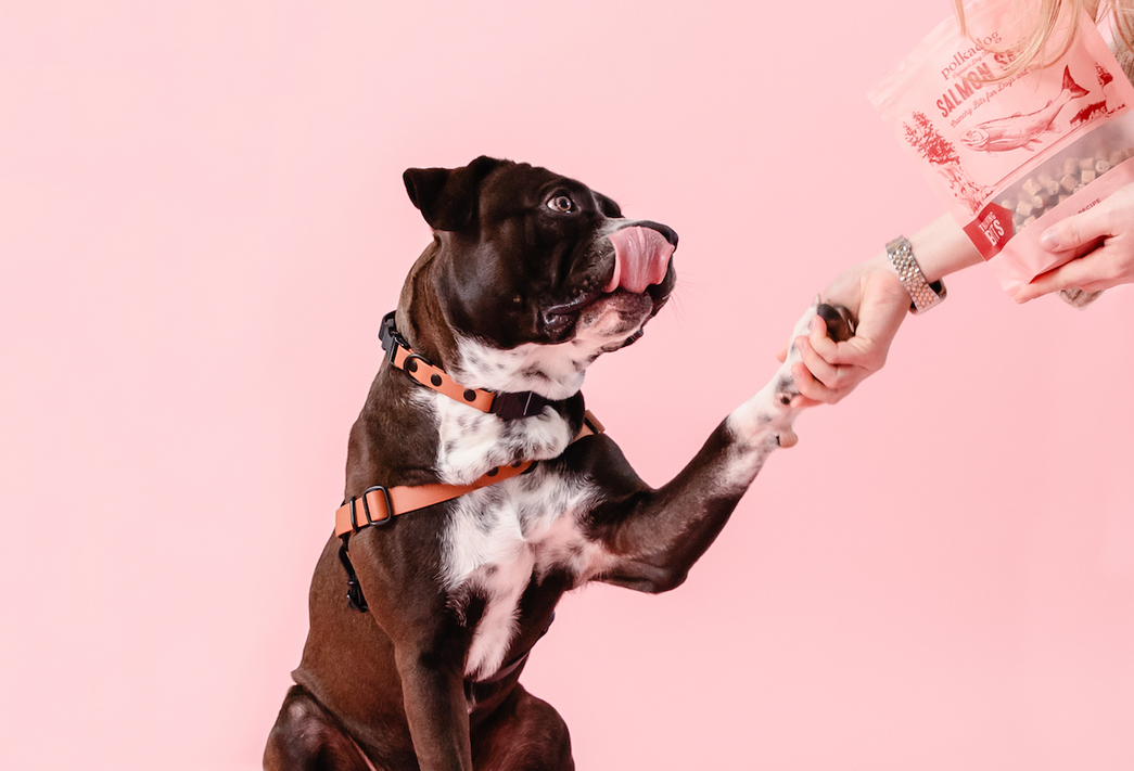 Treating & Training Made Easy