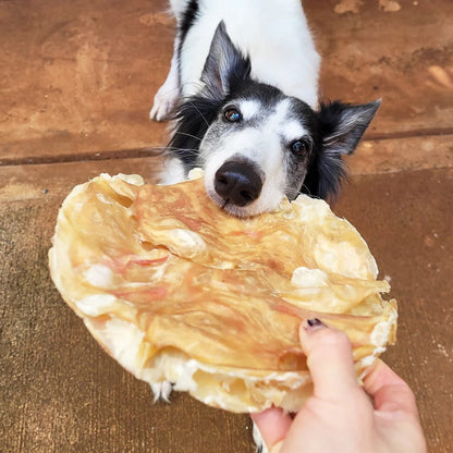 Tuesday's - Tremenda Disc