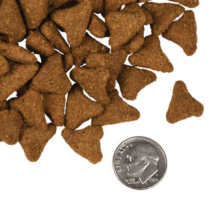 Dog food kibble shown next to a U.S. quarter for size comparison on a white background