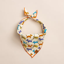 Load image into Gallery viewer, Polkadog x The Foggy Dog Party Animal Bandana
