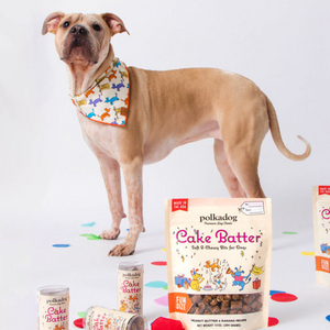 Polkadog x The Foggy Dog Party Animal Bandana