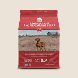 Open Farm Dry Dog Food Open Farm Grass Fed Beef & Ancient Grains Dry Dog Food